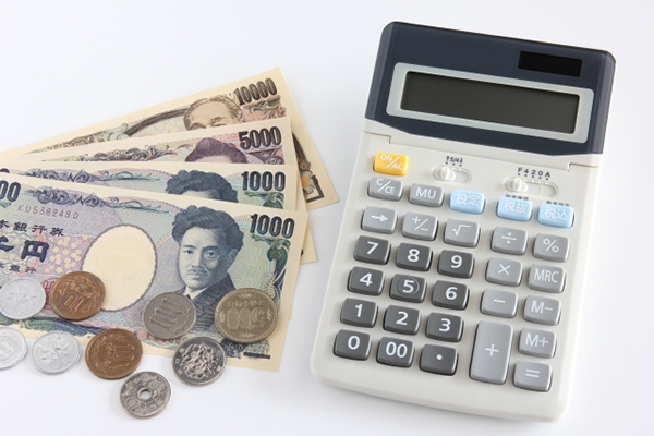 平成24年度税制改正の概要