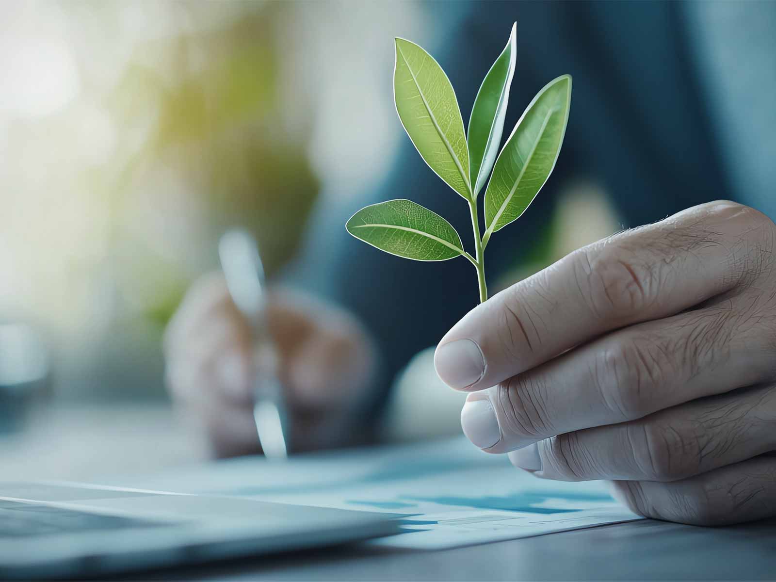 これで解決！農林水産業の令和6年分確定申告Q＆A