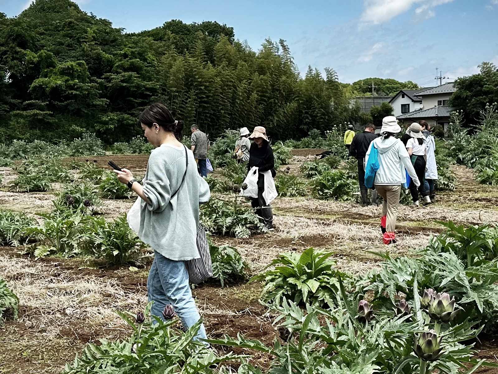 イベントは楽しませるだけじゃない！農家が収益を出す仕組み