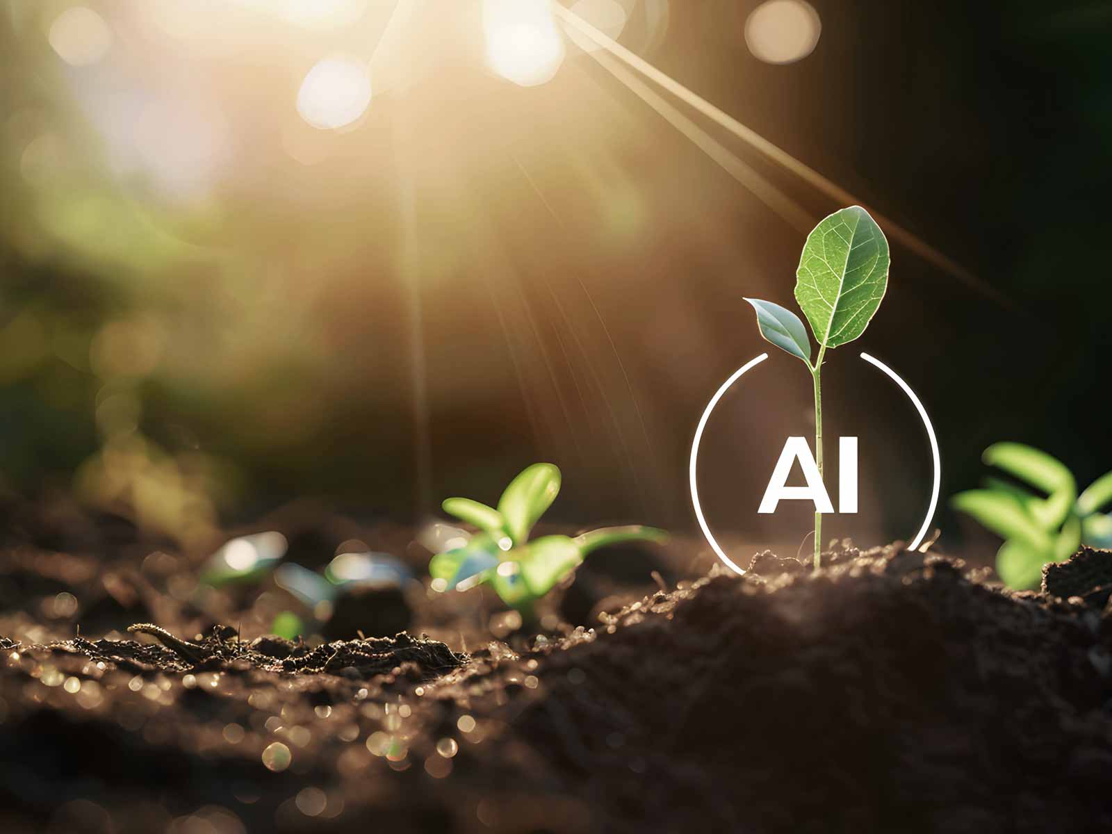 生成AIは農業にどう活かせるのか？農家が現場目線で考えてみた。