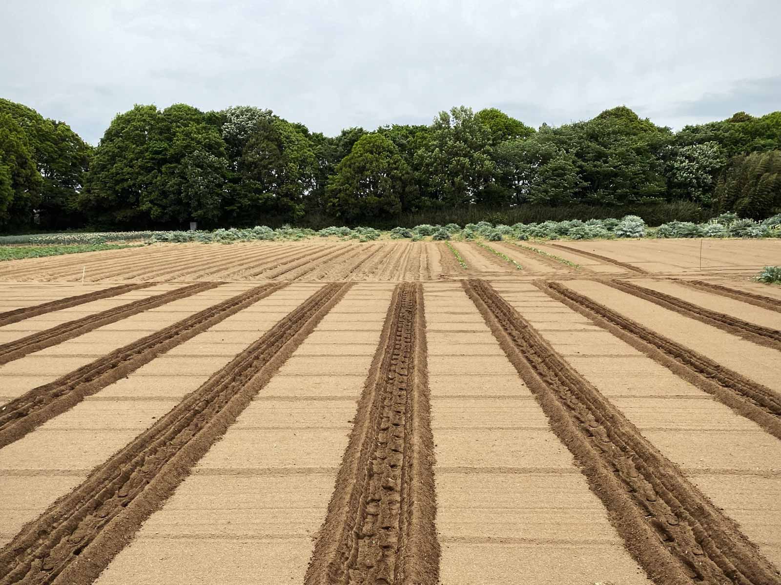 新規就農の皆さん、農園のPRはしっかりできていますか？