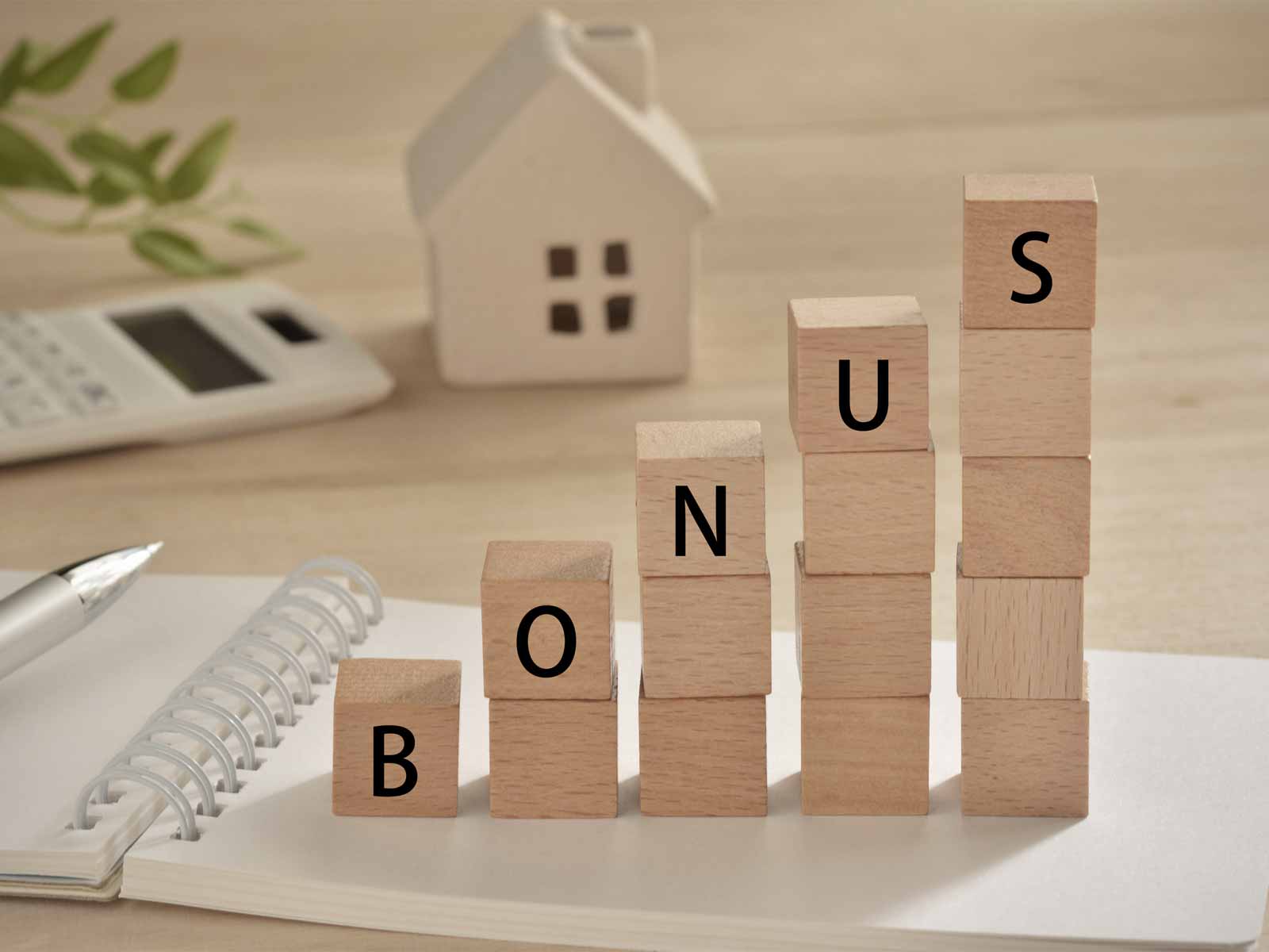 NPO法人が賞与を支給する際の注意点