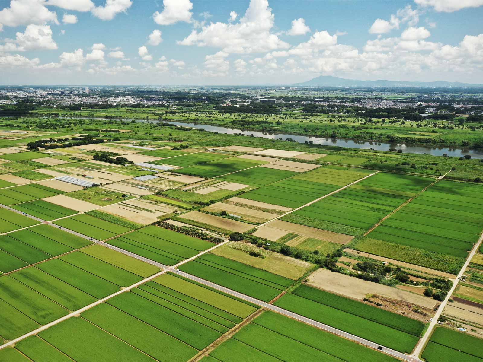知っておくべき！相続土地国庫帰属制度による農地について