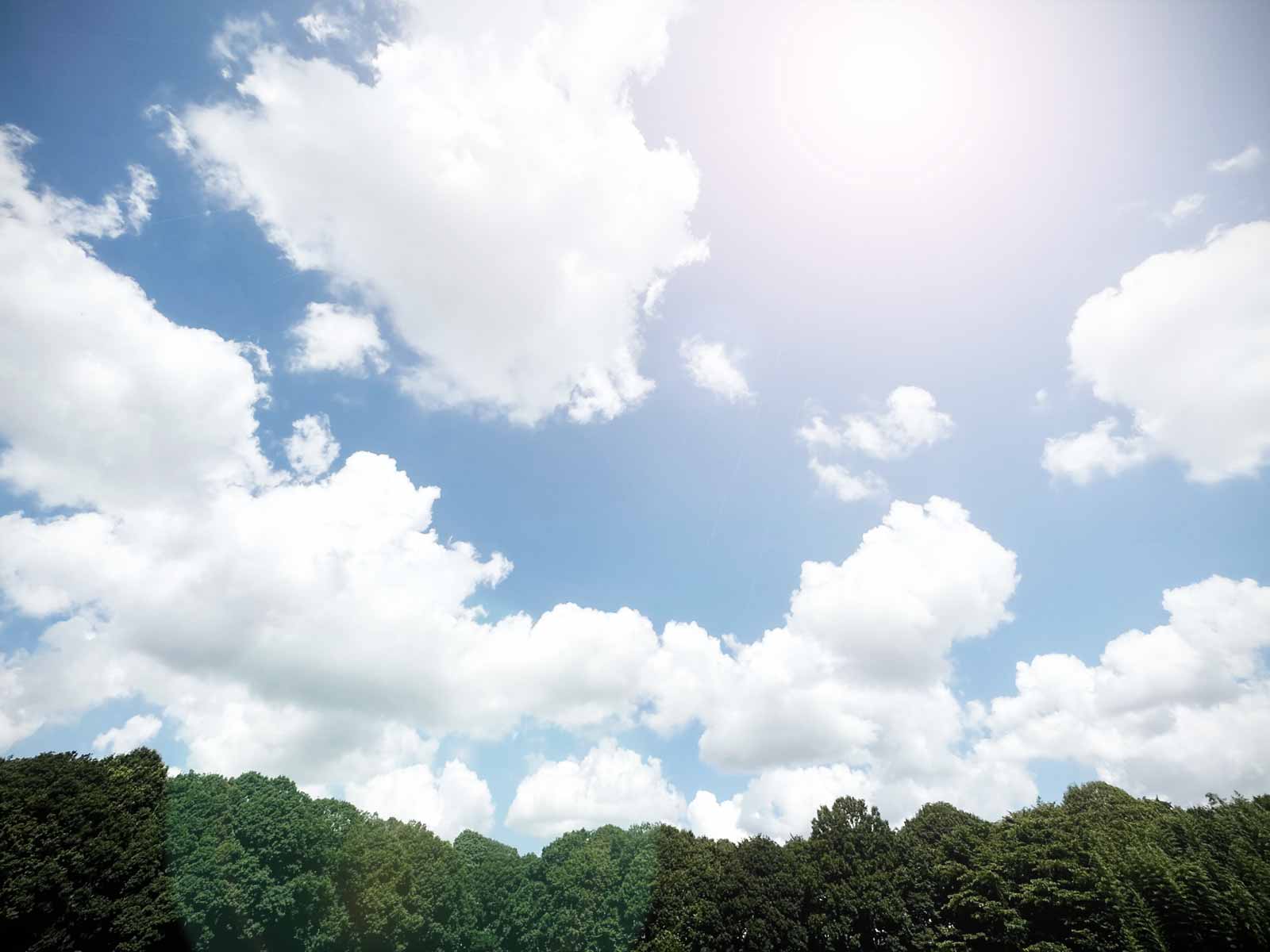 少量多品目農家必見！酷暑での野菜の調整・発送テクニック！