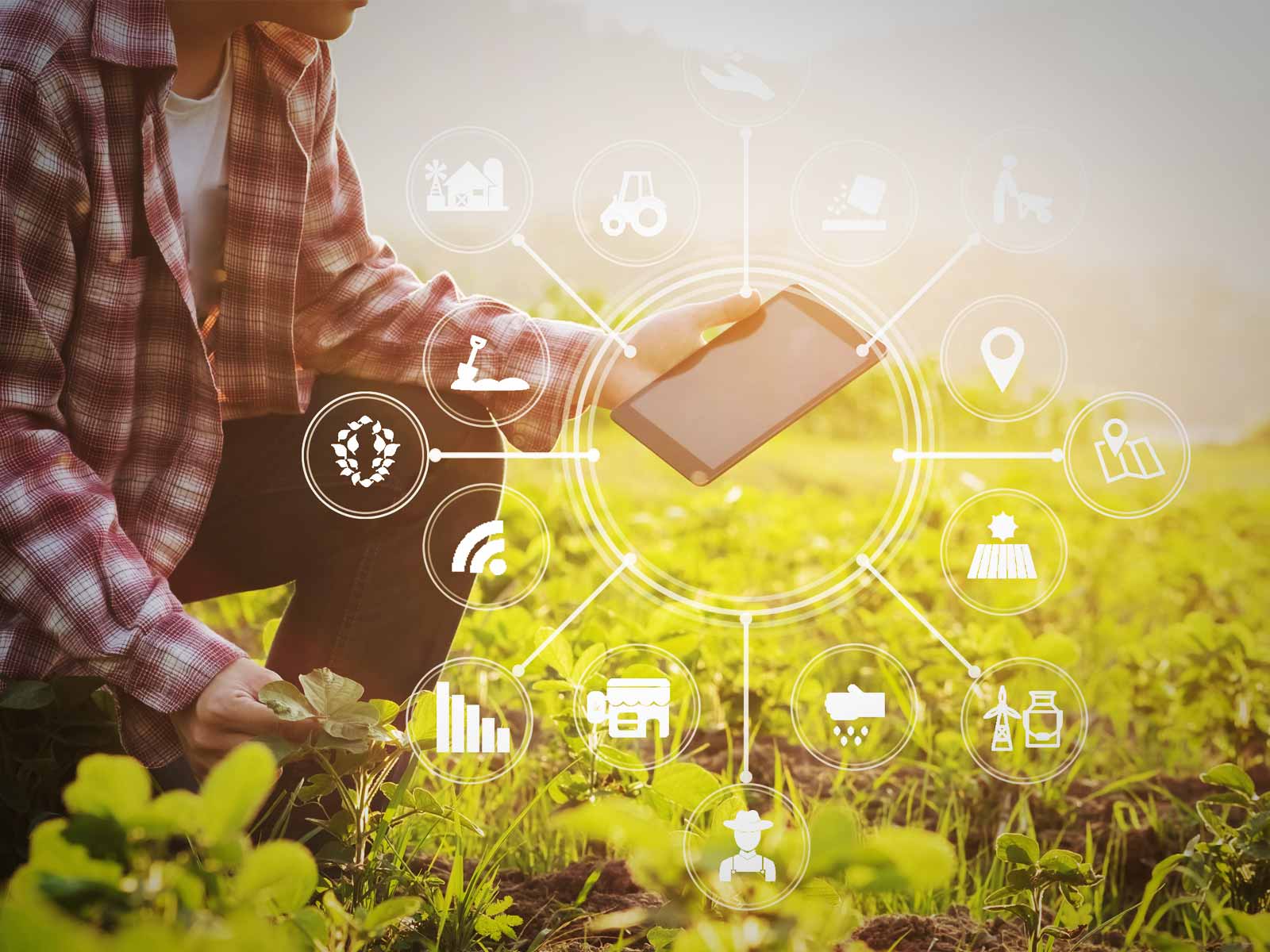 スマート農業による特別償却制度の創設 令和6年度税制改正