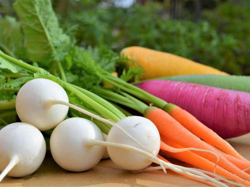 ライバルに差をつけろ！農業で売り上げをあげるための見せないテクニック