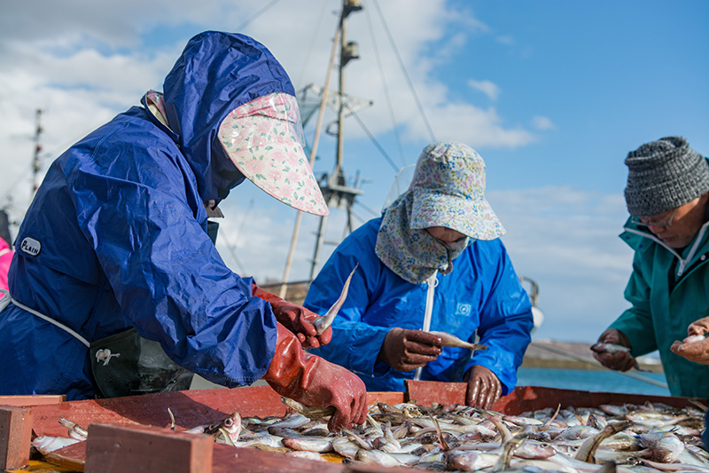 漁業者必見！消費税インボイス制度を解説！