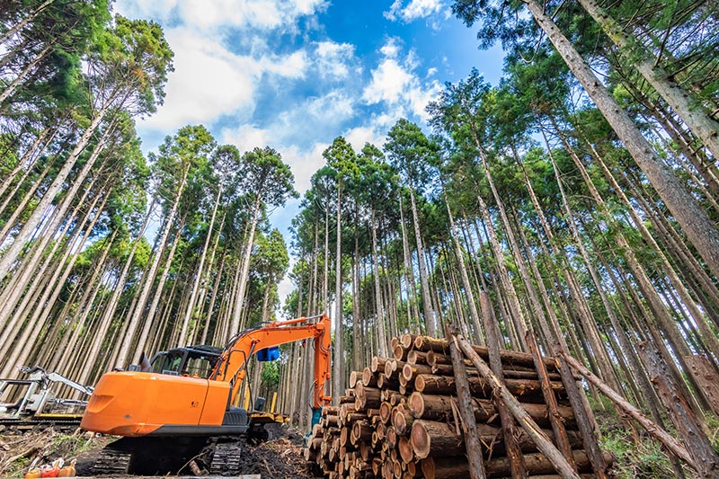 林業者必見！消費税インボイス制度を解説！