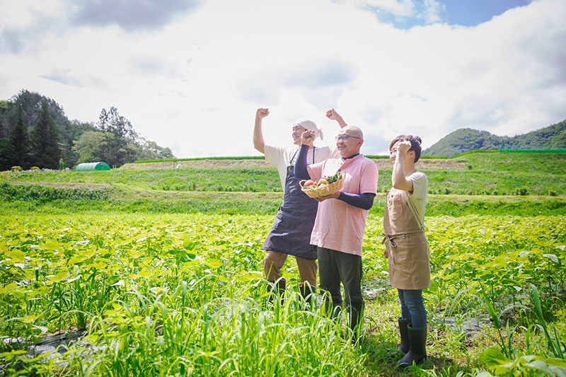 気になる改正点！農業者のための消費税インボイス制度