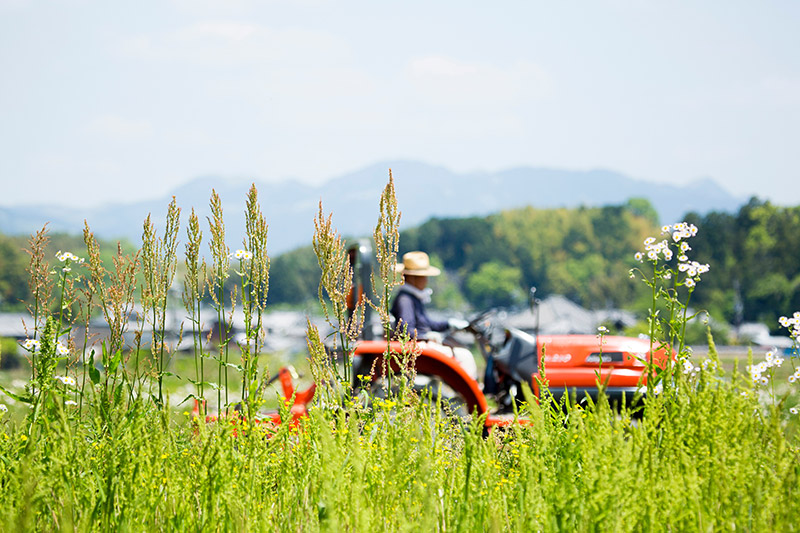 これならわかる！消費税インボイス制度の記載ルールを徹底解説！
