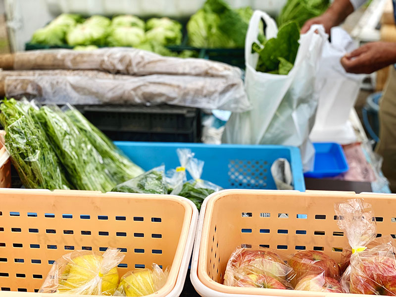 ここが知りたい！農業消費税インボイス制度　農協特例、卸売市場特例、直売所を解説！