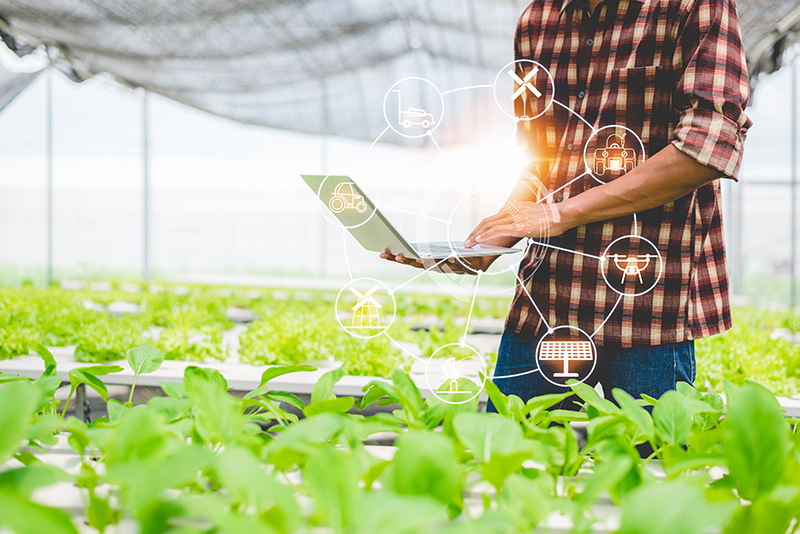 農業でDXを活用して「儲けを出す」方法とは？