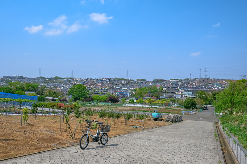 2022年問題！都市農地の生産緑地を解説！