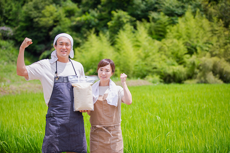 ～緊急告知～まだ間に合う！農業版の事業復活支援金を解説