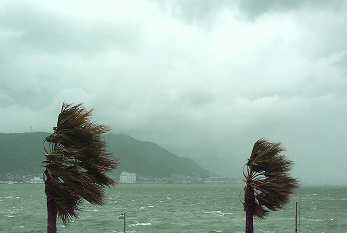 災害発生後のバックアップ制度（税務会計編）