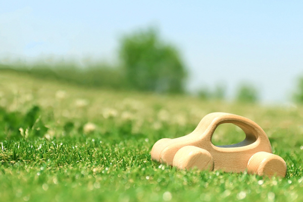 自動車税を納付しましたか