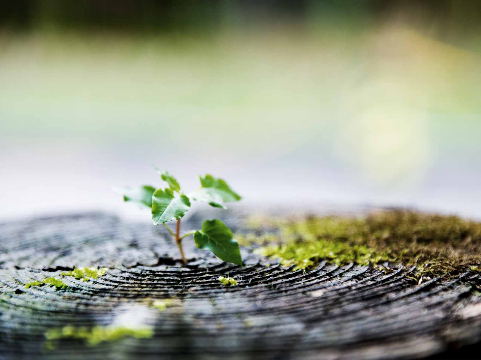 会社の整理・清算・再生をスムーズに行うための7つのアクション