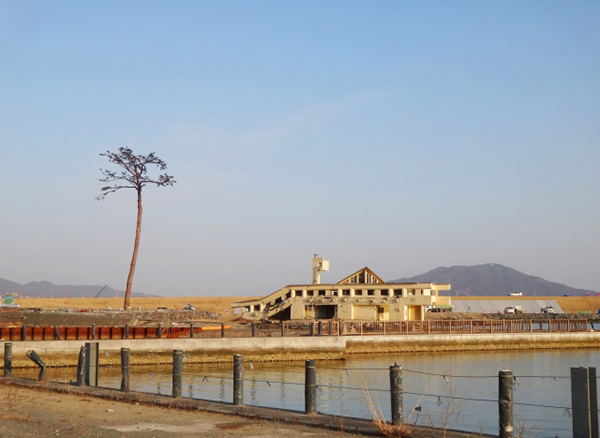 東日本大震災による社会保険料の特例