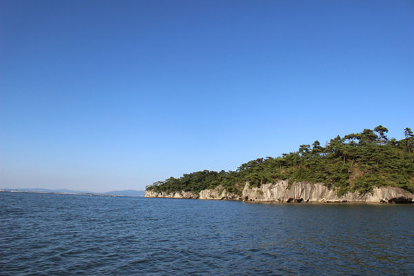 災害と税務（２）